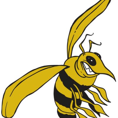 AR5 BEE 13 RQC Thumbnail